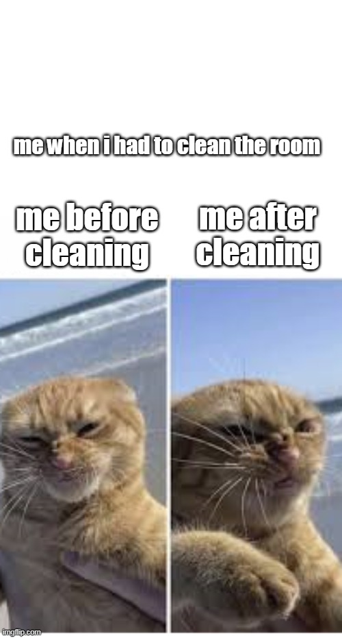 a meme template just to show you all | me before cleaning; me when i had to clean the room; me after cleaning | image tagged in me when,oh no | made w/ Imgflip meme maker