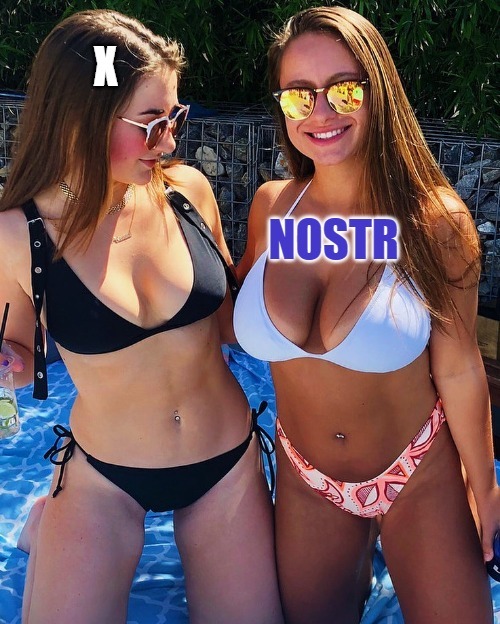 X Vs Nostr | image tagged in nostr,x,twitter,x vs nostr | made w/ Imgflip meme maker