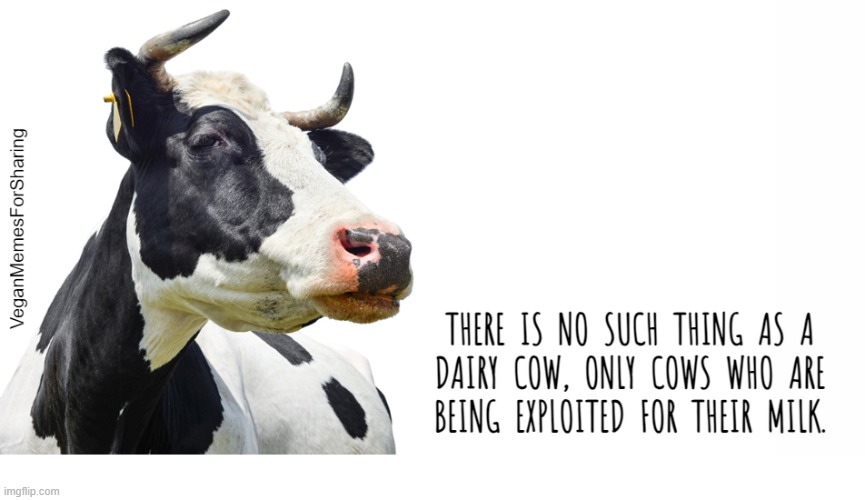Dairy is Scary | image tagged in vegan,veganism,vegetarian,cheese,milk,yogurt | made w/ Imgflip meme maker