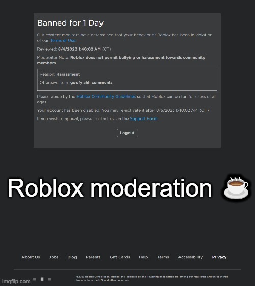 Out of all the things you could've banned me for Lmao | Roblox moderation ☕ | made w/ Imgflip meme maker