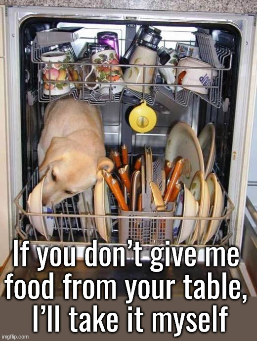 If you don’t give me 
food from your table, 
I’ll take it myself | image tagged in dogs | made w/ Imgflip meme maker