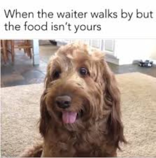 Foodddd | image tagged in stay blobby | made w/ Imgflip meme maker