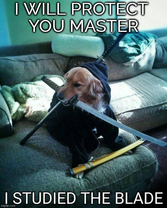 I WILL PROTECT 
YOU MASTER | image tagged in dogs | made w/ Imgflip meme maker