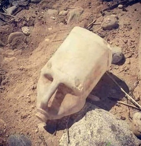 Ancient skull Blank Meme Template