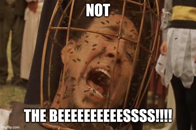 Not the bees | NOT THE BEEEEEEEEEESSSS!!!! | image tagged in not the bees | made w/ Imgflip meme maker