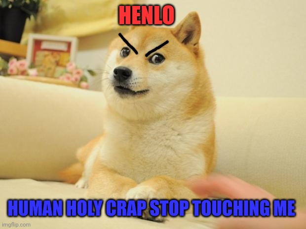 Hi | HENLO; HUMAN HOLY CRAP STOP TOUCHING ME | image tagged in memes,doge 2,funny texts | made w/ Imgflip meme maker