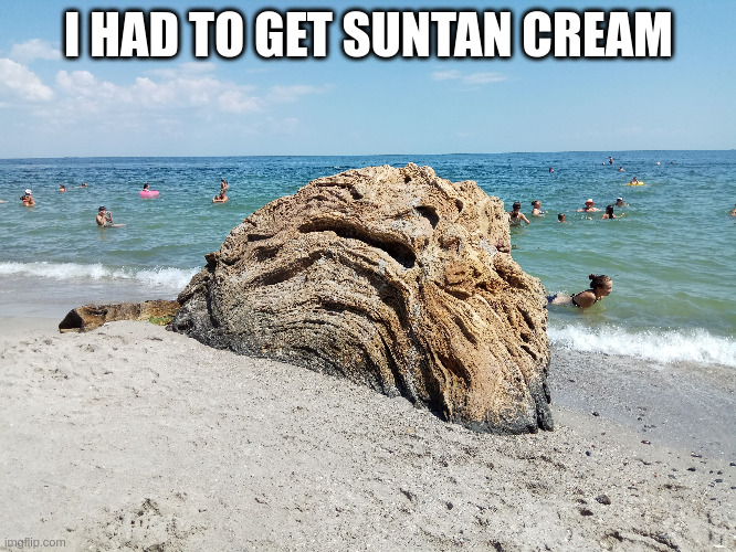Without suntan cream | I HAD TO GET SUNTAN CREAM | image tagged in sea,summer,suntan cream | made w/ Imgflip meme maker