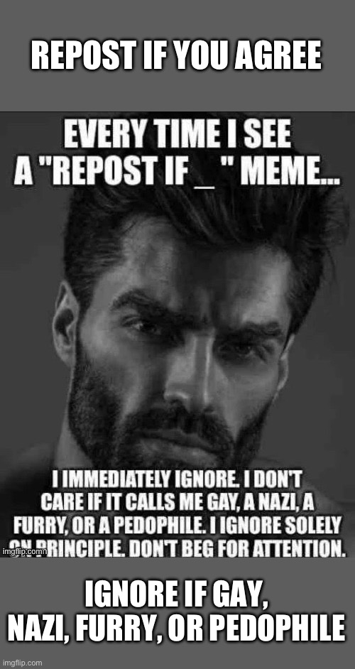REPOST IF YOU AGREE; IGNORE IF GAY, NAZI, FURRY, OR PEDOPHILE | made w/ Imgflip meme maker