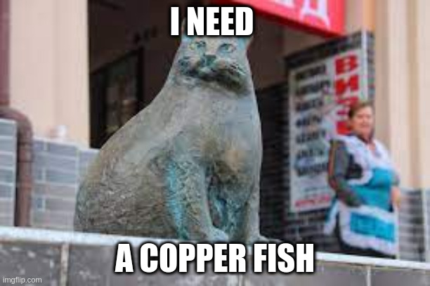 Сopper cat | I NEED; A COPPER FISH | image tagged in cat,statue | made w/ Imgflip meme maker