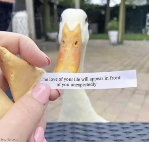 (Toasty note): now kiss | made w/ Imgflip meme maker