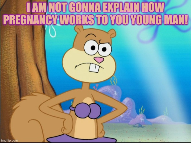Stop it. Get some help | I AM NOT GONNA EXPLAIN HOW PREGNANCY WORKS TO YOU YOUNG MAN! | image tagged in sandy cheeks suspicious,sandy cheeks,pregnancy,stop it get some help | made w/ Imgflip meme maker