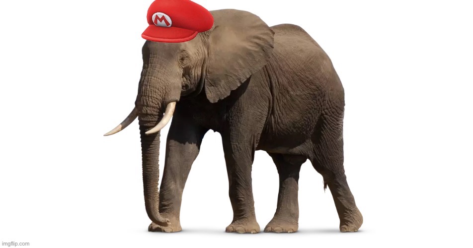 Super wonderuous | made w/ Imgflip meme maker