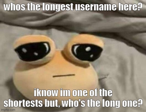 or multiples | whos the longest username here? iknow im one of the shortests but, who's the long one? | image tagged in pou | made w/ Imgflip meme maker