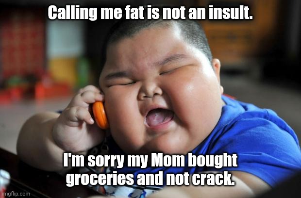 Could be true. | Calling me fat is not an insult. I'm sorry my Mom bought groceries and not crack. | image tagged in fat asian kid,funny | made w/ Imgflip meme maker