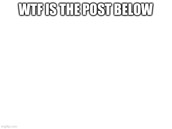 WTF IS THE POST BELOW | made w/ Imgflip meme maker