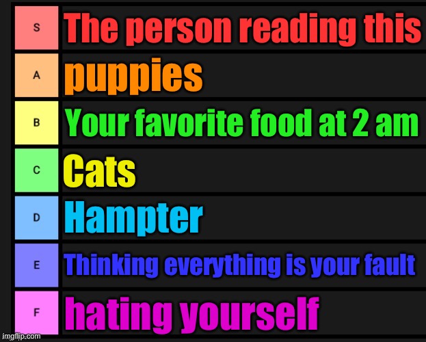 I gotchu bro | The person reading this; puppies; Your favorite food at 2 am; Cats; Hampter; Thinking everything is your fault; hating yourself | image tagged in tier list,wholesome | made w/ Imgflip meme maker