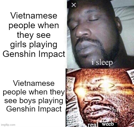 What | Vietnamese people when they see girls playing Genshin Impact; Vietnamese people when they see boys playing Genshin Impact; weeb | image tagged in i sleep real sh | made w/ Imgflip meme maker