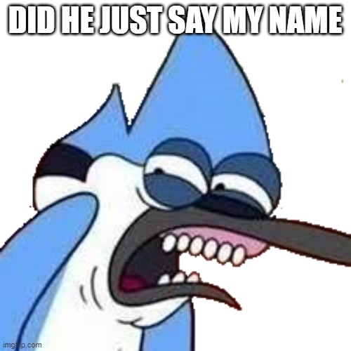 disgusted mordecai | DID HE JUST SAY MY NAME | image tagged in disgusted mordecai | made w/ Imgflip meme maker