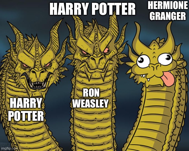 Three-headed Dragon | HERMIONE GRANGER; HARRY POTTER; RON WEASLEY; HARRY POTTER | image tagged in three-headed dragon | made w/ Imgflip meme maker