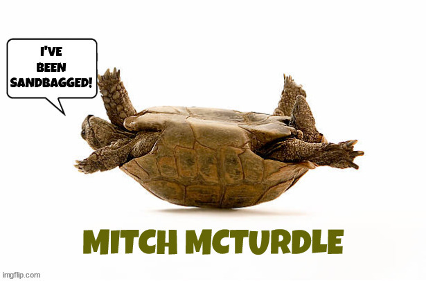 Sandbagged & I can't get up! | image tagged in mitch mcconnell,gop,minority leader,faceplanted,post turtle | made w/ Imgflip meme maker
