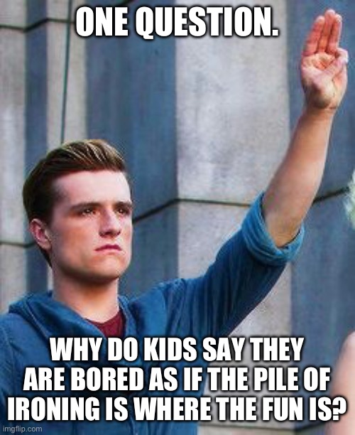 Peeta tribute | ONE QUESTION. WHY DO KIDS SAY THEY ARE BORED AS IF THE PILE OF IRONING IS WHERE THE FUN IS? | image tagged in peeta tribute | made w/ Imgflip meme maker