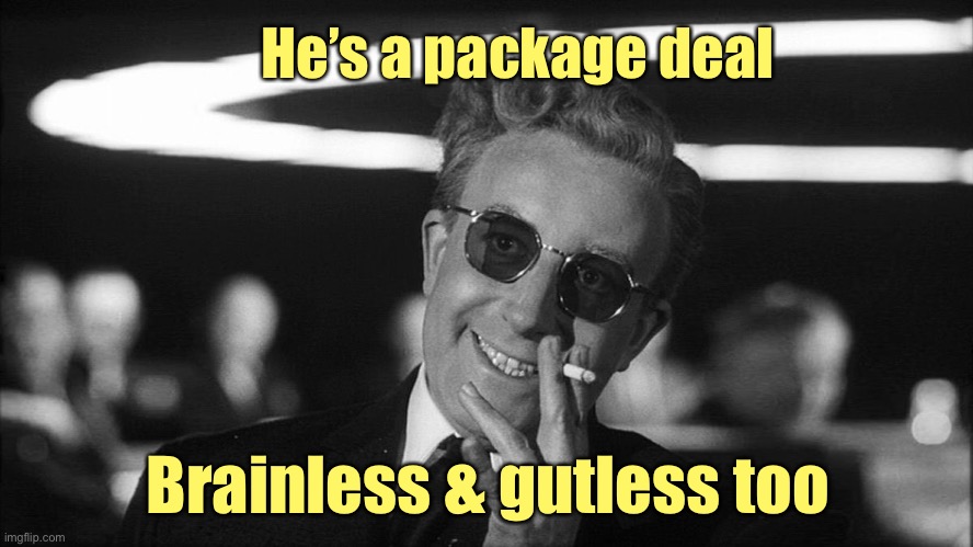 Doctor Strangelove says... | He’s a package deal Brainless & gutless too | image tagged in doctor strangelove says | made w/ Imgflip meme maker