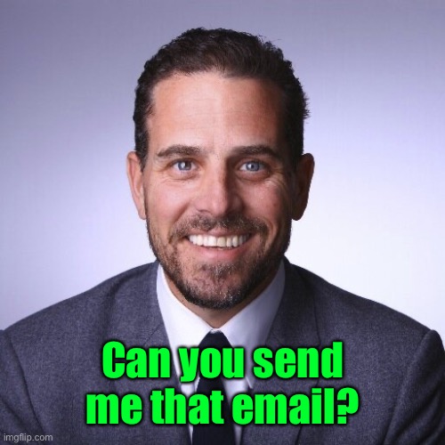 Hunter Biden | Can you send me that email? | image tagged in hunter biden | made w/ Imgflip meme maker