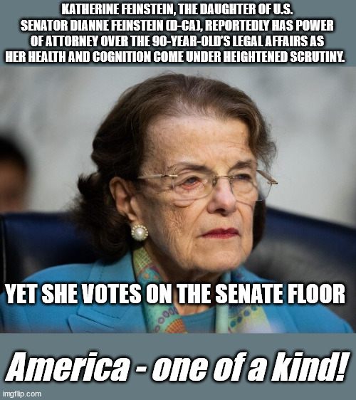 KATHERINE FEINSTEIN, THE DAUGHTER OF U.S. SENATOR DIANNE FEINSTEIN (D-CA), REPORTEDLY HAS POWER OF ATTORNEY OVER THE 90-YEAR-OLD’S LEGAL AFFAIRS AS HER HEALTH AND COGNITION COME UNDER HEIGHTENED SCRUTINY. YET SHE VOTES ON THE SENATE FLOOR; America - one of a kind! | image tagged in democrats,liberal logic,mental health | made w/ Imgflip meme maker