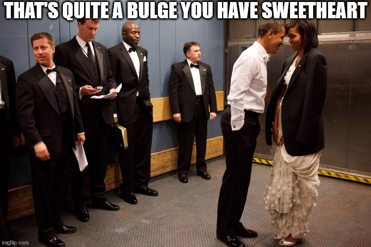 One of these things is   Just   Like  the   OTHER! | THAT'S QUITE A BULGE YOU HAVE SWEETHEART | image tagged in his name aint michelle | made w/ Imgflip meme maker