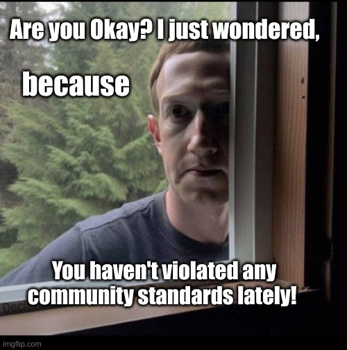 Zuckerberg "Are You OK?" | Are you Okay? I just wondered, because; You haven't violated any community standards lately! | image tagged in zuckerberg window,are you okay,no violations lately | made w/ Imgflip meme maker