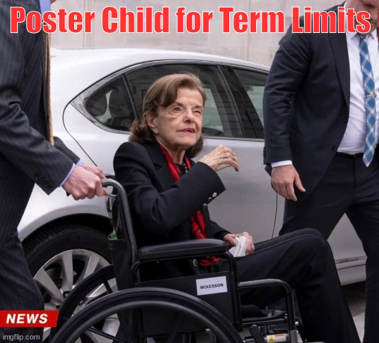 Term Limits | Poster Child for Term Limits | image tagged in term limits,fienstien,old hag | made w/ Imgflip meme maker