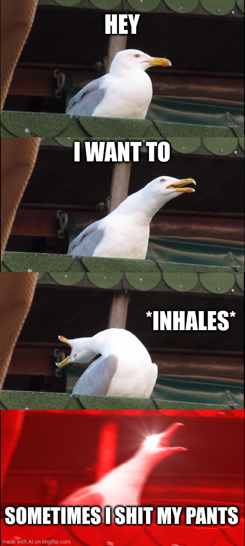 Inhaling Seagull | HEY; I WANT TO; *INHALES*; SOMETIMES I SHIT MY PANTS | image tagged in memes,inhaling seagull | made w/ Imgflip meme maker