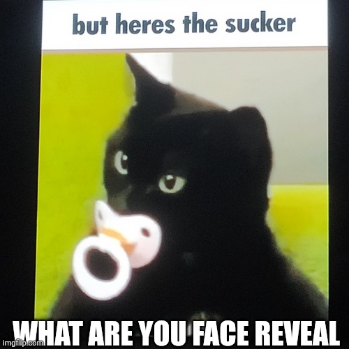 True | WHAT ARE YOU FACE REVEAL | image tagged in memes,sucker | made w/ Imgflip meme maker