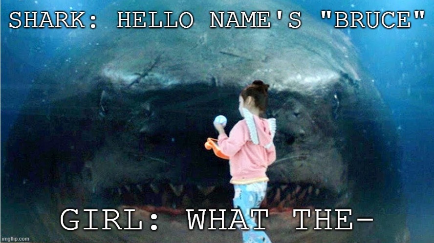 Megalodon & the Little Meeting eachother be like: | SHARK: HELLO NAME'S "BRUCE"; GIRL: WHAT THE- | image tagged in shark,funny,finding nemo,bruce | made w/ Imgflip meme maker
