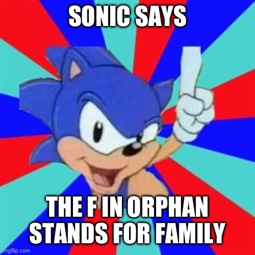 F in orphan | SONIC SAYS; THE F IN ORPHAN STANDS FOR FAMILY | image tagged in sonic sez | made w/ Imgflip meme maker