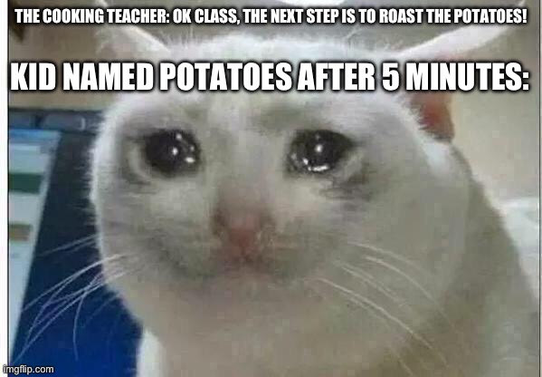 “Who the heck names their son potatos-“ | KID NAMED POTATOES AFTER 5 MINUTES:; THE COOKING TEACHER: OK CLASS, THE NEXT STEP IS TO ROAST THE POTATOES! | image tagged in crying cat | made w/ Imgflip meme maker