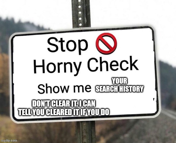 SOTP! | YOUR SEARCH HISTORY; DON'T CLEAR IT. I CAN TELL YOU CLEARED IT IF YOU DO | made w/ Imgflip meme maker