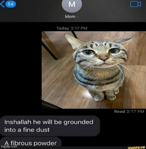 Inshallah | image tagged in a fibrous powder | made w/ Imgflip meme maker