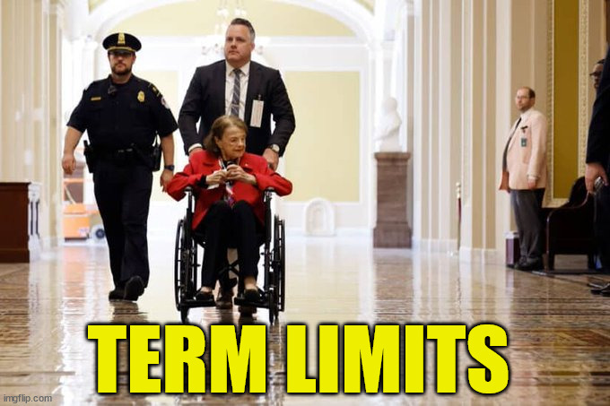 Term Limits | TERM LIMITS | image tagged in term limits,fienstien,old hag | made w/ Imgflip meme maker