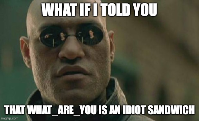 Matrix Morpheus | WHAT IF I TOLD YOU; THAT WHAT_ARE_YOU IS AN IDIOT SANDWICH | image tagged in memes,matrix morpheus | made w/ Imgflip meme maker