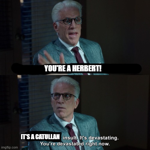 Don't be a Herbert! | YOU'RE A HERBERT! IT'S A CATULLAN | image tagged in human insult it's devastating,star trek | made w/ Imgflip meme maker