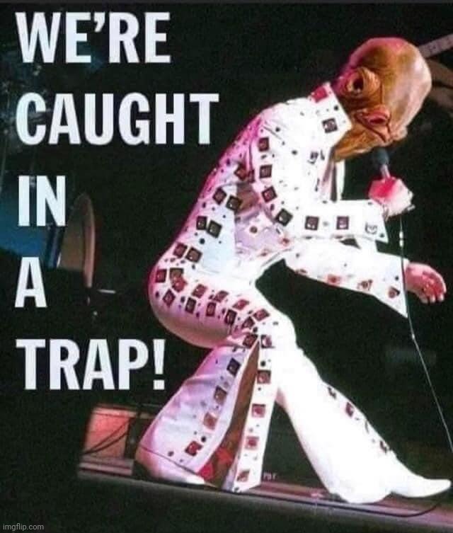 image tagged in elvis presley,it's a trap | made w/ Imgflip meme maker