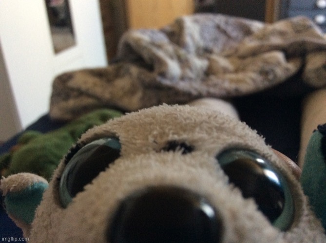 Puppy all up in yo face | image tagged in puppy all up in yo face | made w/ Imgflip meme maker