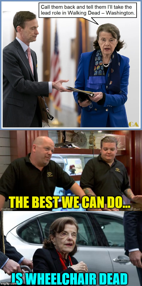 Another Hollywood remake... | THE BEST WE CAN DO... IS WHEELCHAIR DEAD | image tagged in best we can do,dianne feinstein | made w/ Imgflip meme maker