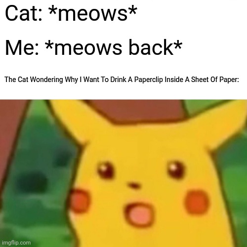 Surprised Pikachu Meme | Cat: *meows*; Me: *meows back*; The Cat Wondering Why I Want To Drink A Paperclip Inside A Sheet Of Paper: | image tagged in memes,surprised pikachu | made w/ Imgflip meme maker