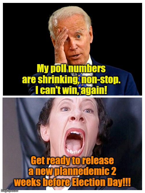 You heard it here, first, kids! | My poll numbers are shrinking, non-stop. I can't win, again! Get ready to release a new plannedemic 2 weeks before Election Day!!! | made w/ Imgflip meme maker