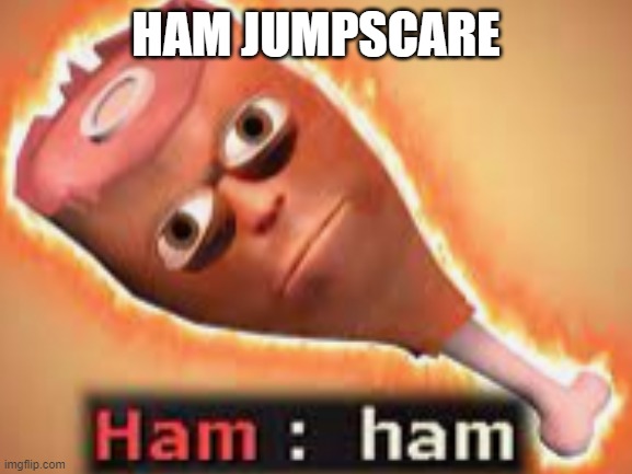 Ham tf2 | HAM JUMPSCARE | image tagged in ham,tf2,jumpscare | made w/ Imgflip meme maker