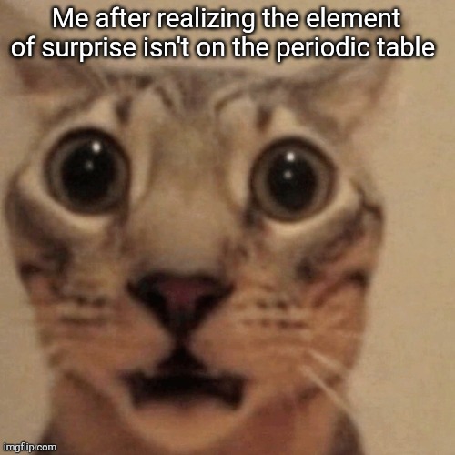 in shock | Me after realizing the element of surprise isn't on the periodic table | image tagged in in shock | made w/ Imgflip meme maker
