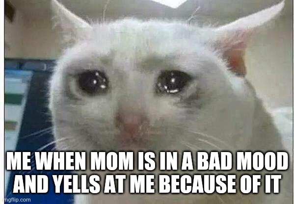 crying cat | ME WHEN MOM IS IN A BAD MOOD AND YELLS AT ME BECAUSE OF IT | image tagged in crying cat | made w/ Imgflip meme maker