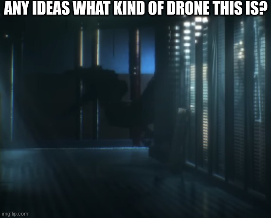 To me. It might be a dinosaur drone, or it's just me being stupid and making things up | ANY IDEAS WHAT KIND OF DRONE THIS IS? | made w/ Imgflip meme maker